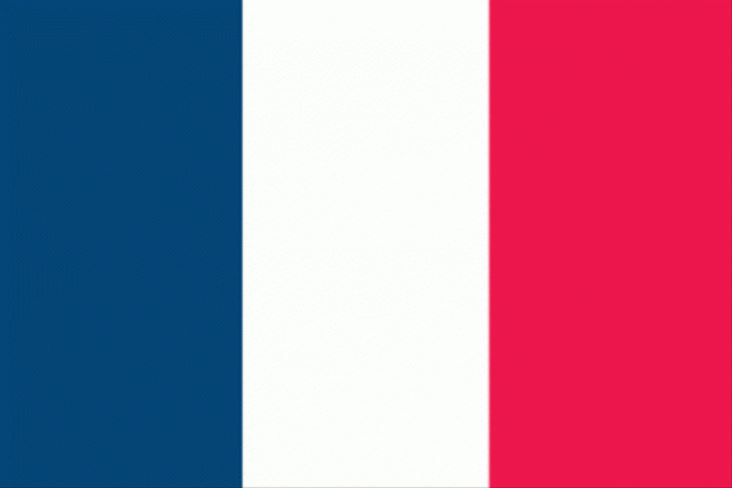 Vlag Frankrijk