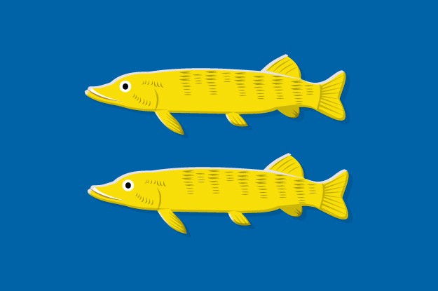 Vlag Grootschermer