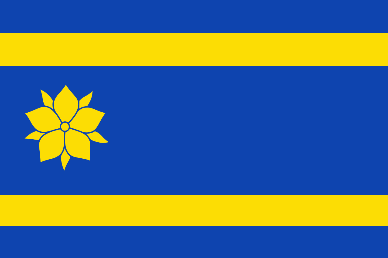 Vlag Hattem