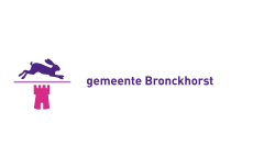 Vlag Bronckhorst