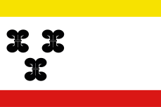 Vlag Vianen