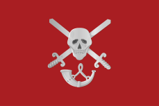 Vlag Aarlanderveen