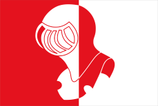 Vlag Helmond
