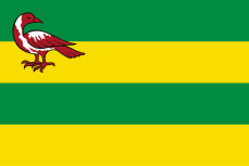 Vlag Hindeloopen