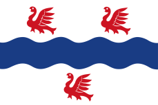 Vlag IJsselmuiden