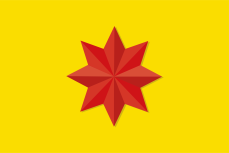 Vlag Kralingen