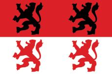 Vlag Krommenie