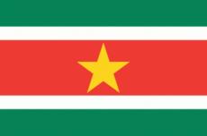 Vlag Suriname