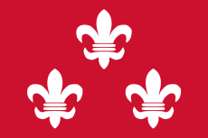 Vlag Beverwijk