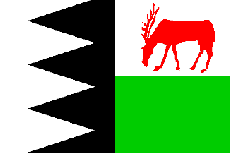 Vlag Bruinisse