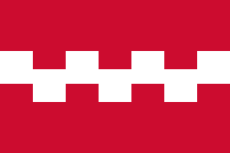 Vlag Buren