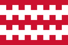Vlag Dongen