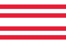 Vlag Gorinchem