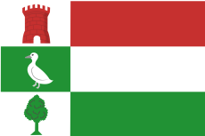 Vlag Halderberge