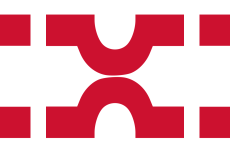 Vlag Losser