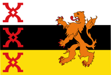 Vlag Someren