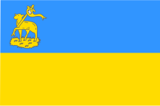 Vlag Velsen