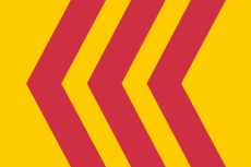 Vlag Voorst