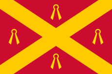 Vlag Wijchen