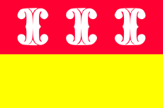 Vlag Wijk bij Duurstede