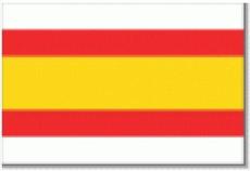 Vlag Lemmer
