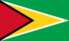 Vlag Guyana