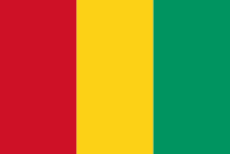 Vlag Guinee