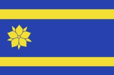 Vlag Hattem