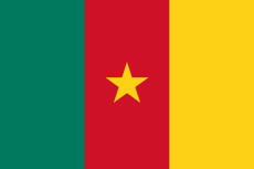 Vlag Kameroen