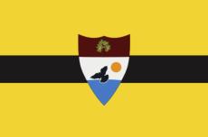 Vlag Liberland