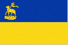 Vlag IJmuiden