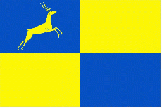 Vlag Putten