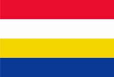 Vlag Renkum