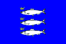 Vlag Scheveningen