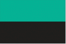 Vlag Texel
