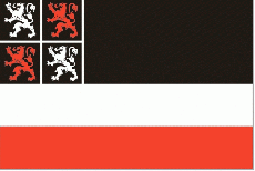 Vlag Uitgeest
