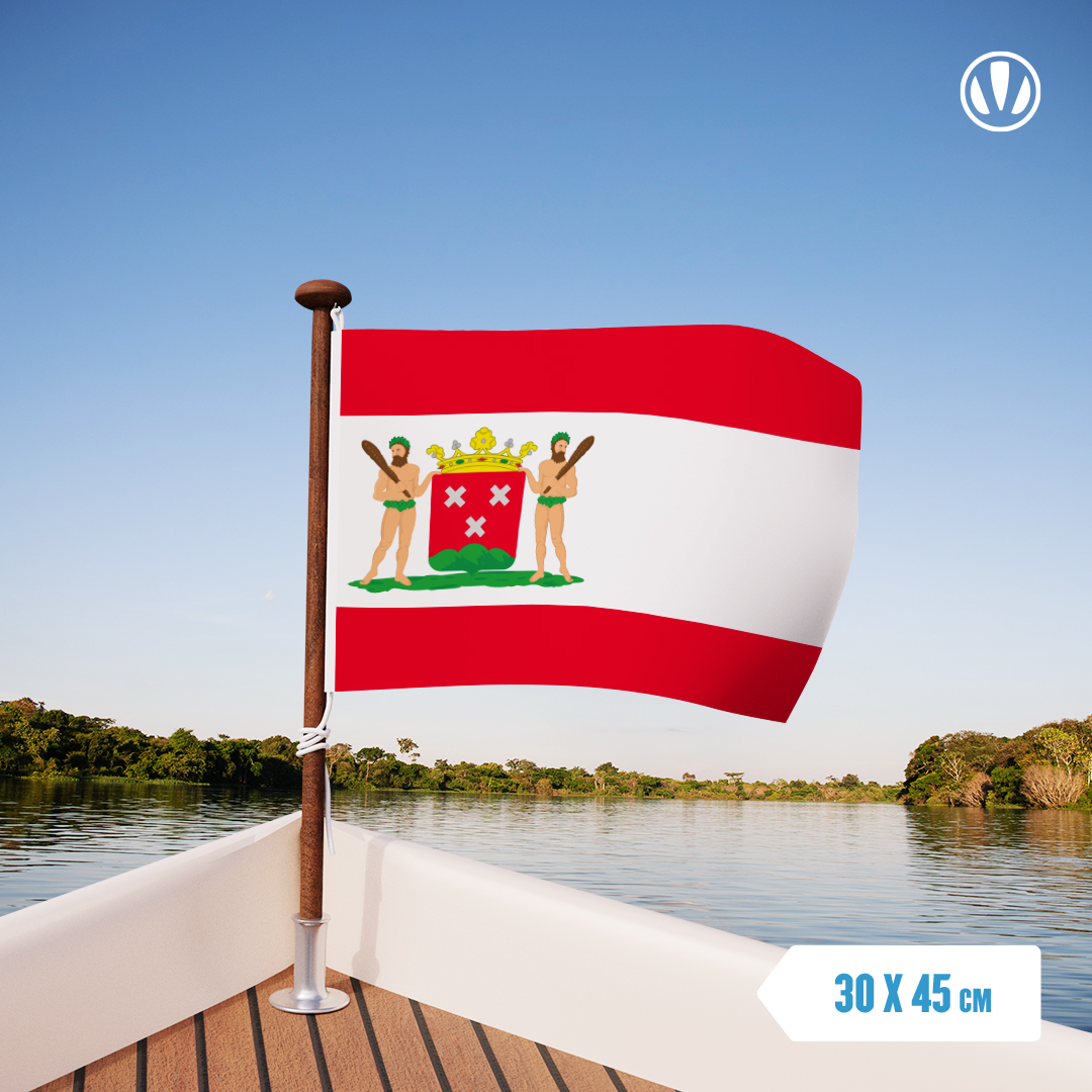 Vlag Bergen op Zoom 30x45cm