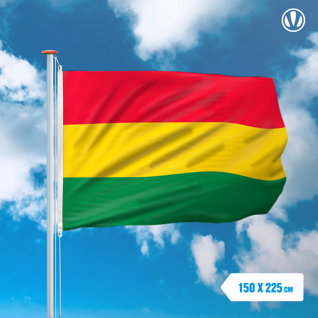 Vlag Carnaval Limburg 150x225cm