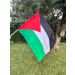 Palestijnse vlag 70x100cm met stok zwaaivlag