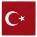 Turkije servetten 20 stuks