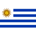 Vlag Uruguay 225x350cm