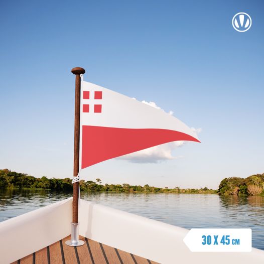 Utrechtse Puntvlag