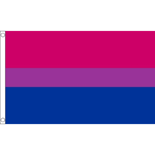 Bi-Pride vlag 150x240cm