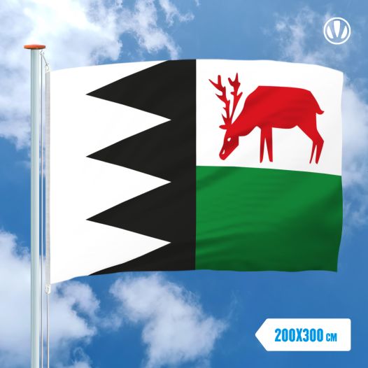 Grote vlag Bruinisse 200x300cm