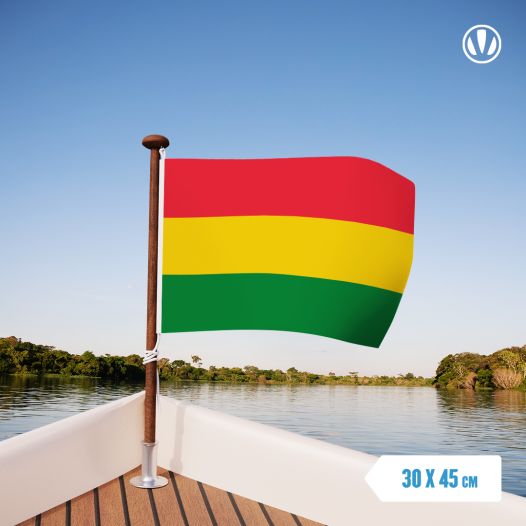 Carnaval vlag Limburg 30x45cm Carnavalsvlag