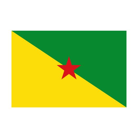 vlag Frans-Guyana 120x180cm