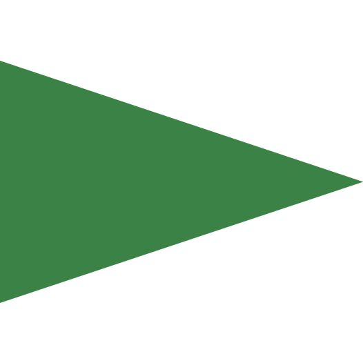 Groene Puntvlag 50x75cm