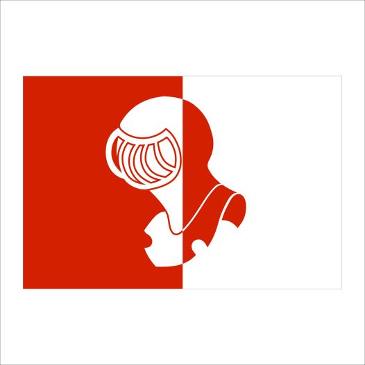 vlag helmond 50x75cm 