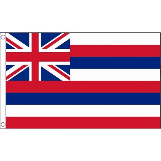 vlag hawaii 90x150 cm