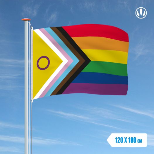 Intersekse progress vlag 120x180cm